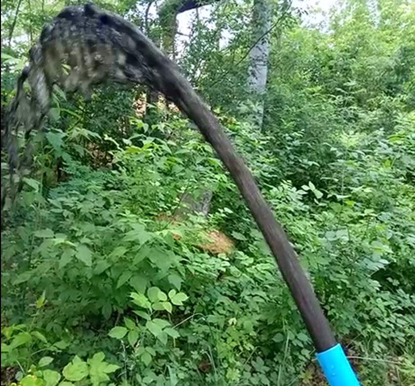 Комунальні страшилки. Масив ДОК.