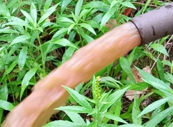 Комунальні страшилки. Масив “Лісгосп”.